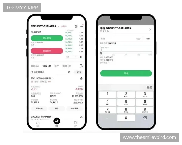 凯发首页地址登录后如何进行游戏操作与账户管理指南
